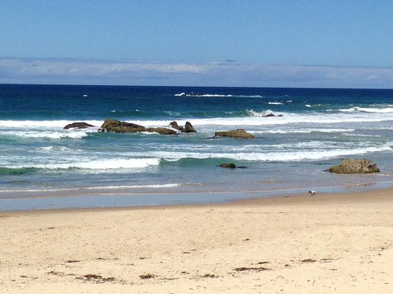 Oxley Cove Holiday Apartment Port Macquarie Εξωτερικό φωτογραφία